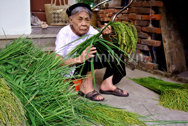 Cốm Mễ Trì - Sắc thu Hà Nội