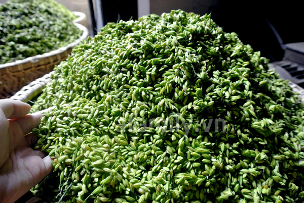 Cốm Mễ Trì - Sắc thu Hà Nội
