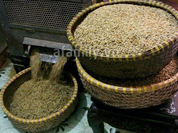 Cốm Mễ Trì - Sắc thu Hà Nội