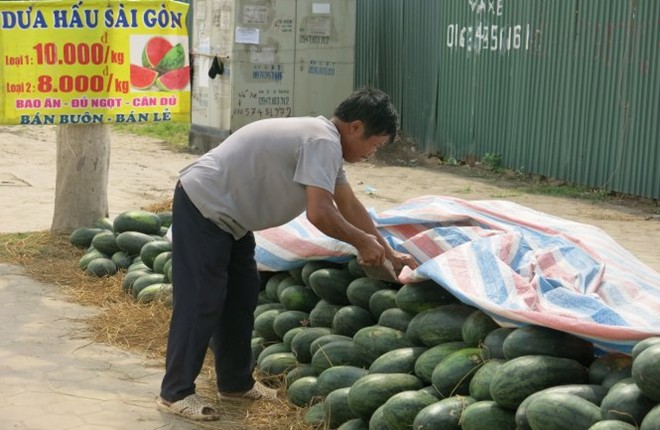 Dưa hấu được đổ đống bán la liệt trên vỉa hè ở phố Lê Văn Lương (Hà Nội). Ảnh: L.Thanh