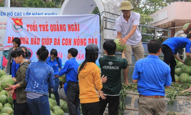 Thanh niên Quảng Ngãi hỗ trợ bán dưa cho nông dân. Ảnh: Tỉnh đoàn QN.