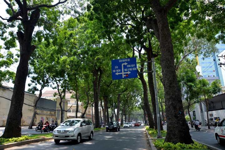 chặt cây, đường Tôn Đức Thắng, Sài Gòn, Sở GTVT