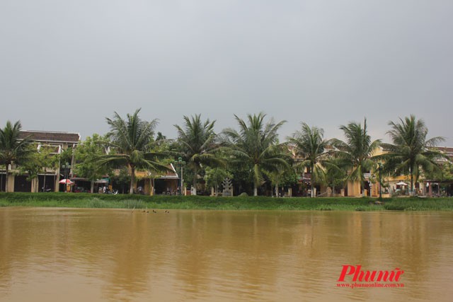 ... Tận hưởng làn gió mát lành từ sông Hoài và lắng tai nghe tiếng lá dừa reo vui trong gió.