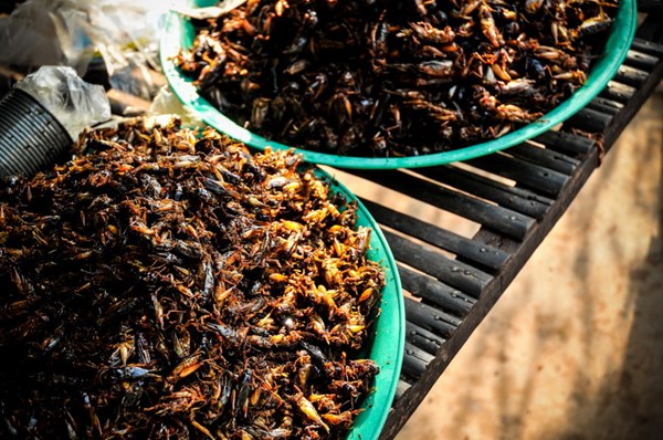 Thú vị du lịch bụi ở xứ sở Chùa Tháp hình ảnh 2 Thu vi du lich bui o xu so Chua Thap-hinh-anh-2