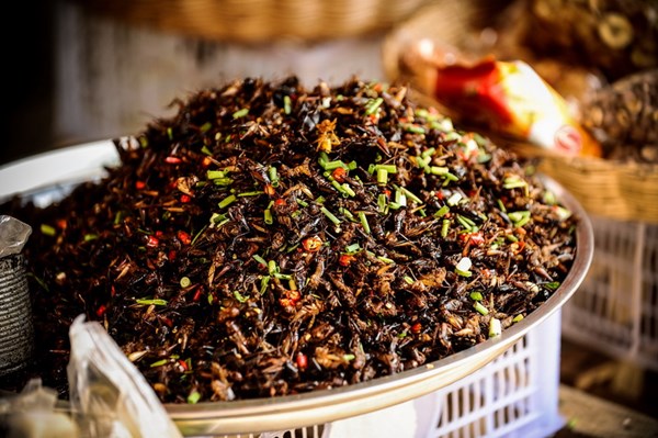 Thú vị du lịch bụi ở xứ sở Chùa Tháp hình ảnh 3 Thu vi du lich bui o xu so Chua Thap-hinh-anh-3