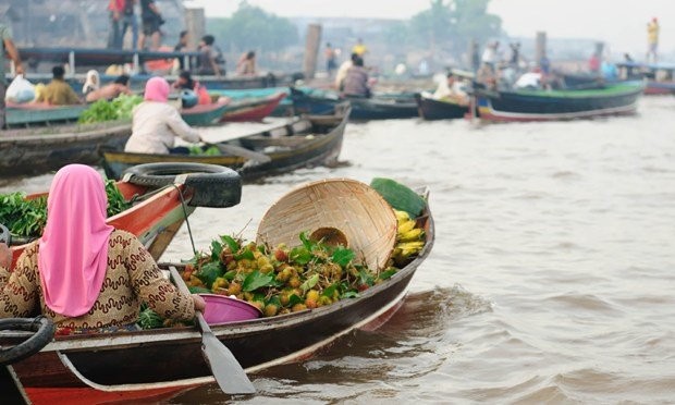 4. Du thuyền ở Kalimantan, Indonesia và Borneo: Chuyến thám hiểm Java & Kalimantan kéo dài ba đêm được Hãng Selective Asia khai thác sẽ tạo cơ hội cho các tín đồ yêu thiên nhiên khám phá các loài động vật như đười ươi, voi lùn, khỉ mũi vòi ở vườn quốc gia Borneo’s Tanjung Putting.  Ngoài ra, bạn có thể đi bộ đường dài và thám hiểm các điểm đến hoang dã, các cộng đồng cư dân bản địa, tham quan trại nghiên cứu đười ươi Camp Leakey.