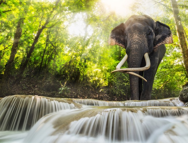 Nằm trong Công viên quốc gia Erawan, phía tây bắc của thành phố Kanchanaburi, Erawan là một trong những thác đẹp nhất Thái Lan. Người ta gọi đây là thác nước 7 tầng. Thác được gọi theo tên của con voi 3 đầu Erawan trong thần thoại Hindu. Để tham quan Erawan, du khách phải đi qua một con đường mòn quanh co, nhưng có khung cảnh rất đẹp. Mọi người sẽ mất khoảng 3 giờ để men theo đường mòn đến tầng cao nhất của thác và leo xuống. Bạn có thể tham quan và khám phá Erawan với các hoạt động như leo thác, tắm suối hay khám phá đường mòn cùng các hang động hai bên sườn đồi.