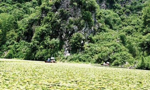 Du khách đi thuyền giữa hồ sen Quan Sơn.