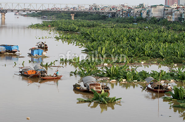 Long đong phận nữ trên sông Hồng mùa nước dâng