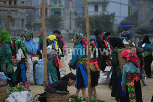 mach-ban-kinh-nghiem-du-lich-ha-giang