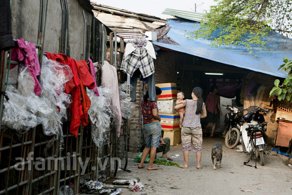 Nhếch nhác 