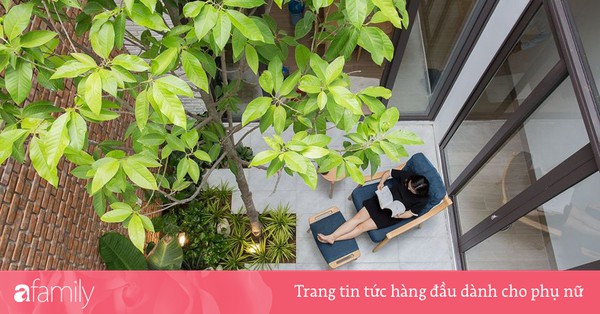 Những loại cây nên trồng ở giếng trời giúp không khí trong lành và tốn ít công chăm sóc Những loại cây nên trồng ở giếng trời giúp không khí trong lành và tốn ít công chăm sóc