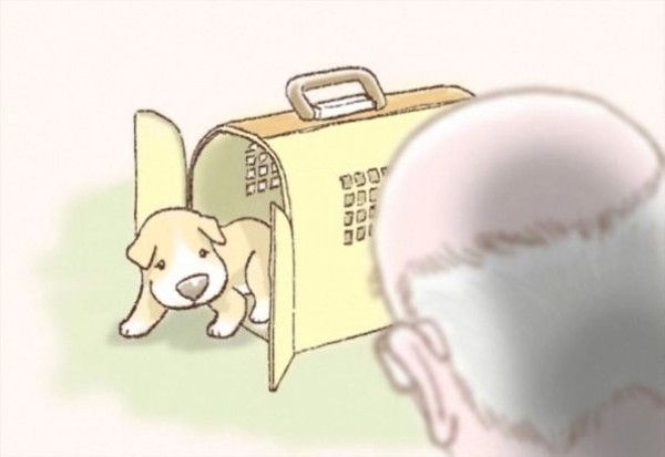 an-illustrated-story-of-one-sad-dog-7__605-89837