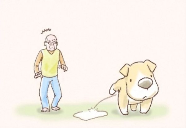 an-illustrated-story-of-one-sad-dog-9__605-89837