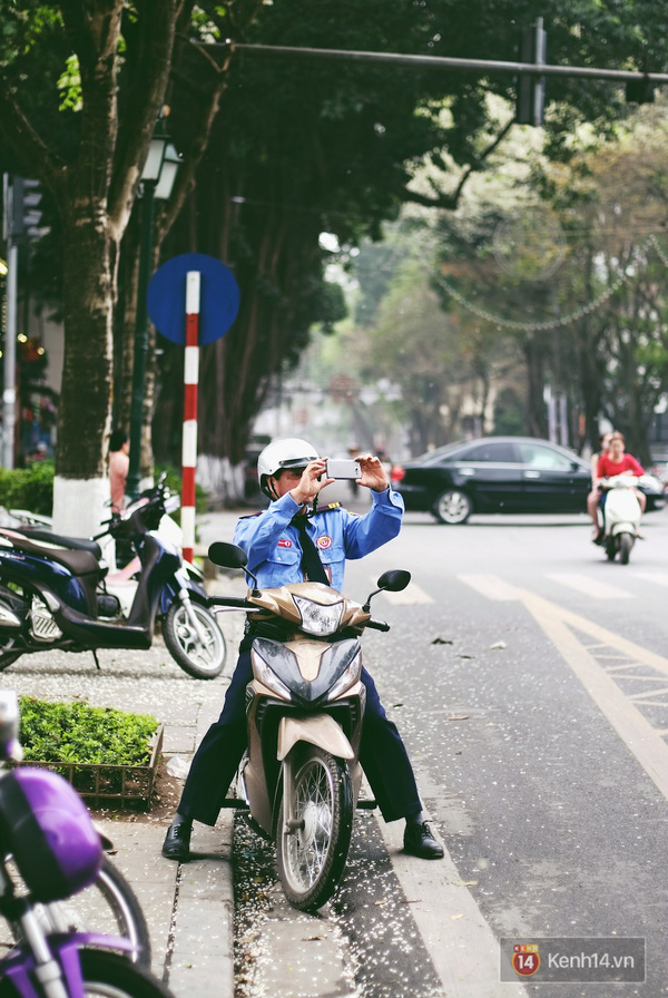 Chùm ảnh: Hà Nội nhẹ nhàng, trắng muốt màu hoa sưa - Ảnh 14.