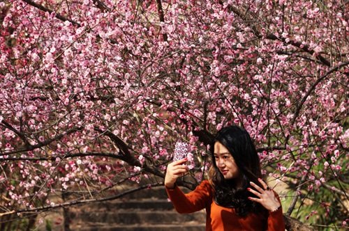 Tuy nhiên, vào ngày cuối tuần vừa qua khi mọi người đổ xô đến khuôn viên trường Đại học Vũ Hán để chụp ảnh thì tất cả đều giật mình khi thấy hai chiếc quần lót phụ nữ màu sắc sặc sỡ được treo trên tán cây mận.