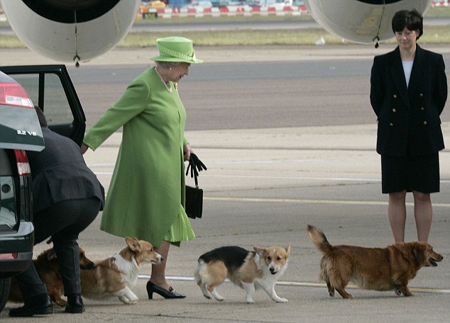 Câu chuyện đáng yêu về tiểu đội vệ binh toàn chó Corgi của Nữ hoàng Anh - Ảnh 2.