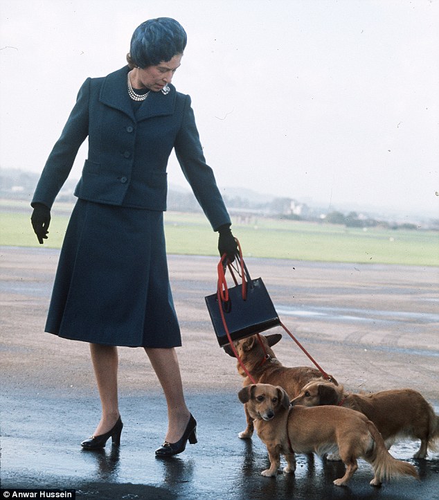 Câu chuyện đáng yêu về tiểu đội vệ binh toàn chó Corgi của Nữ hoàng Anh - Ảnh 4.