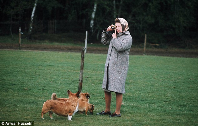 Câu chuyện đáng yêu về tiểu đội vệ binh toàn chó Corgi của Nữ hoàng Anh - Ảnh 8.