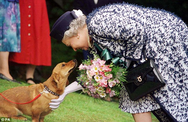 Câu chuyện đáng yêu về tiểu đội vệ binh toàn chó Corgi của Nữ hoàng Anh - Ảnh 10.