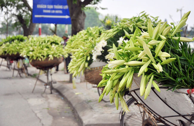 5 loai hoa khien ha noi tho hon giua mua ha chay hinh anh 2