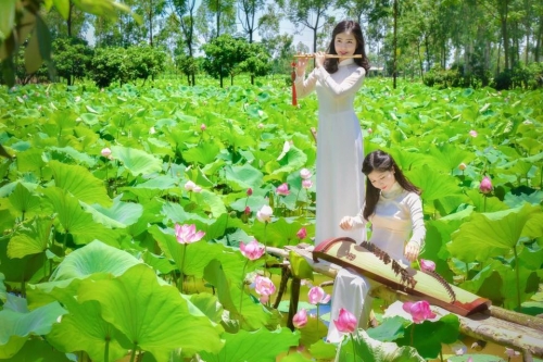 Ngất ngây với thiếu nữ gợi cảm giữa cánh đồng sen - Ảnh 6. Ngất ngây với thiếu nữ gợi cảm giữa cánh đồng sen - Ảnh 6.