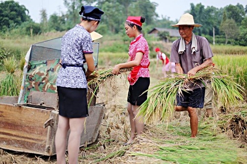 nu tiep vien hang khong tq di giay cao got gat lua hinh anh 1