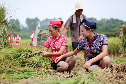 hình ảnh 3 nu tiep vien hang khong tq di giay cao got gat lua hinh anh 3
