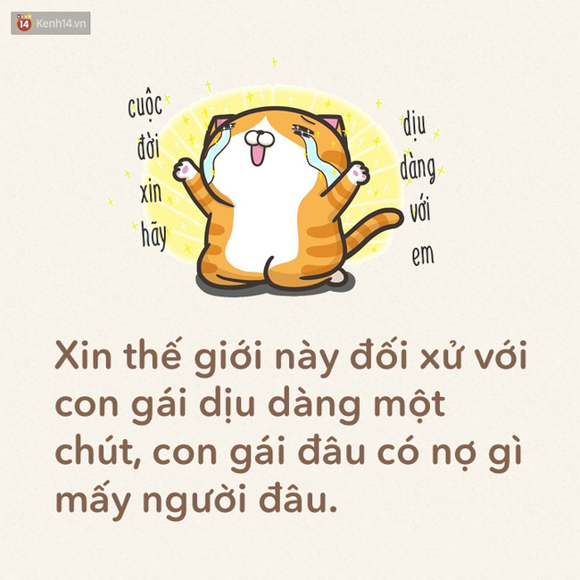  - Ảnh 5.