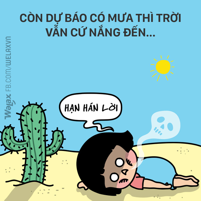 - Ảnh 7. - Ảnh 7.