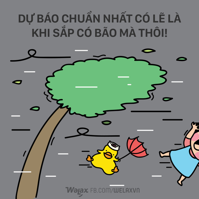 - Ảnh 8. - Ảnh 8.