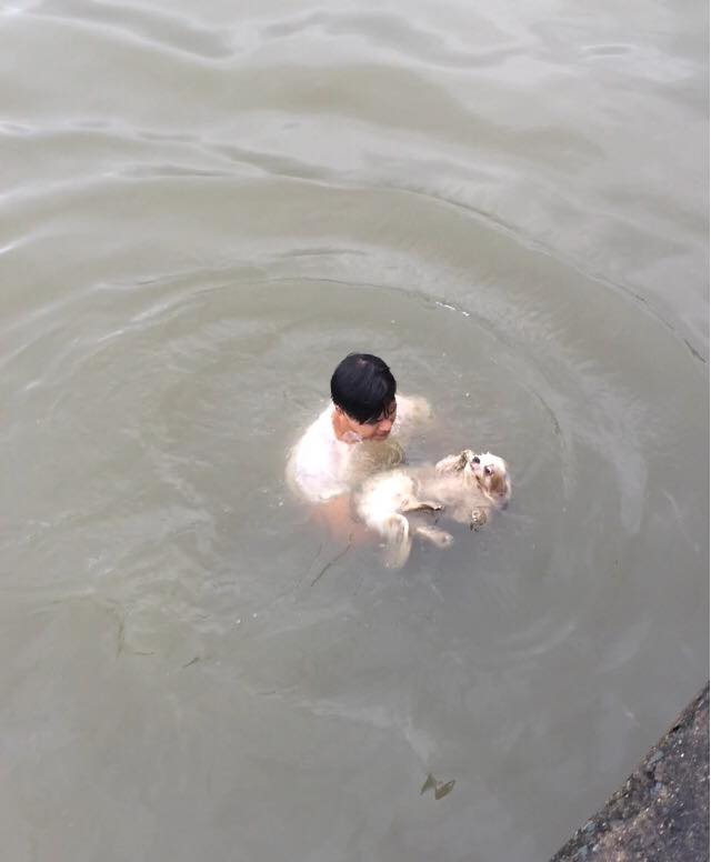 Chàng trai nhảy xuống kênh cứu chó vấp phải tin đồn... tự thả chó xuống nước để diễn sâu - Ảnh 13.