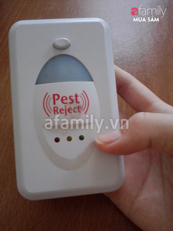 Pest Reject Là Gì: Bí Quyết Giữ Gia Đình Bạn An Toàn và Sạch Sẽ Khỏi Côn Trùng