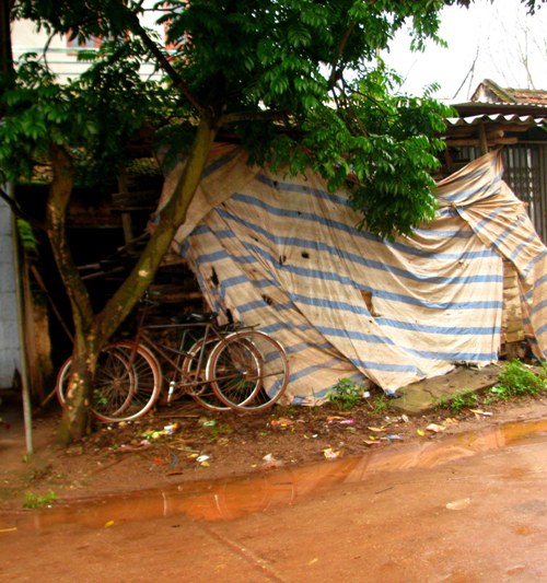 Ông nội Lê Văn Luyện tâm sự cảnh gia đình bi đát