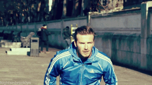 Bản sao David Beckham Bản sao David Beckham
