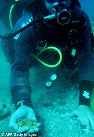 Thợ lặn may mắn vớt được 2000 đồng tiền vàng dưới đáy biển 1
