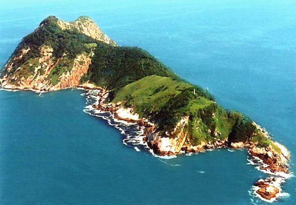 Hòn đảo toàn rắn.