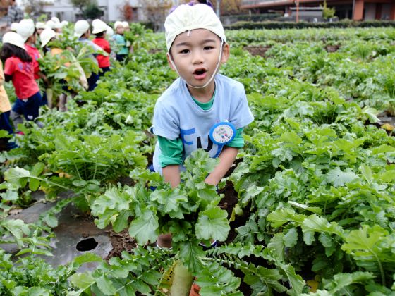 Một ngày đi học thú vị ở trường mầm non Nhật Bản