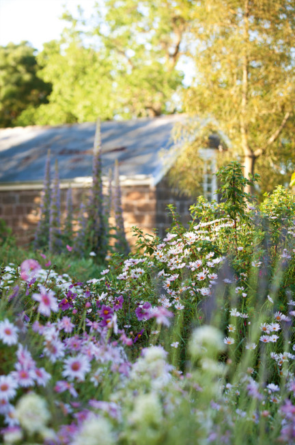 Ngắm ngôi nhà có khu vườn đầy nắng gió và hoa 6