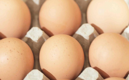Lần đầu tiên giá trứng gà, vịt tăng mức kỷ lục 1