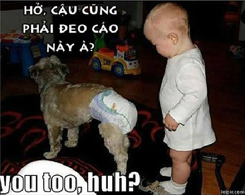 Ảnh hài hước: Cười là khoảng khắc vui vẻ nhất trong cuộc sống, và ảnh hài hước chính là trợ thủ đắc lực giúp chúng ta thư giãn sau những giờ làm việc căng thẳng. Hãy click vào hình ảnh liên quan để khám phá những bức ảnh độc đáo và thú vị nhất!