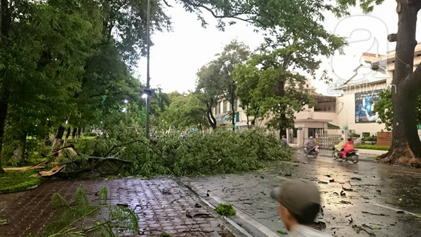 mưa
