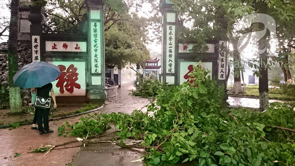 mưa