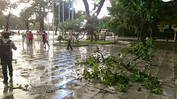 mưa lớn