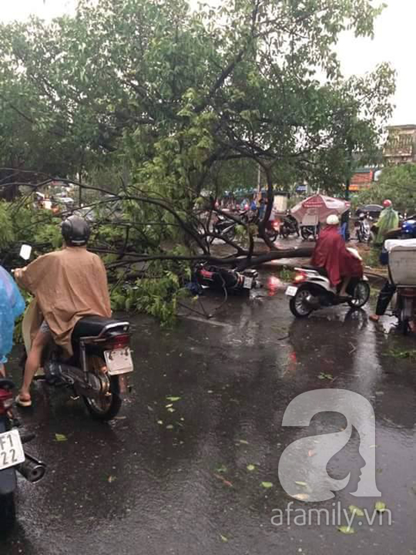 mưa lớn