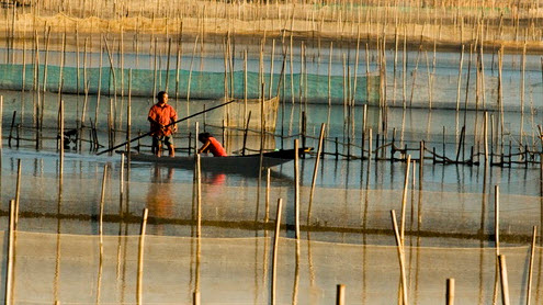 Hút hồn vẻ đẹp phá Tam Giang 1