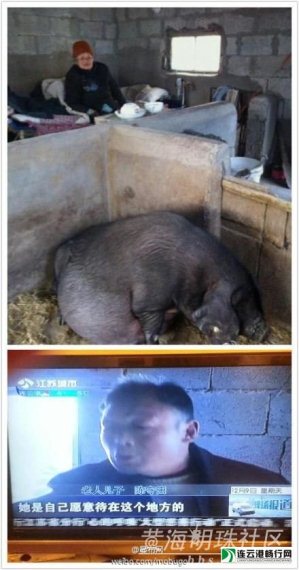Trung Quốc: Con ép mẹ già trăm tuổi sống trong chuồng lợn 1