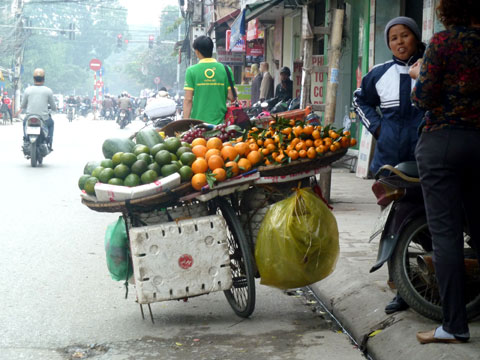 Loạn qu&yacute;t nhỏ si&ecirc;u ngọt 