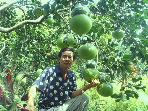 Hàng "độc" đón Tết: Chưa vào mùa đã bị đội giá 2