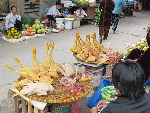 Gia cầm "cháy hàng" trước Tết 2